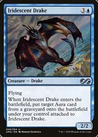 Iridescent Drake - Foil