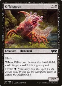 Offalsnout - Foil