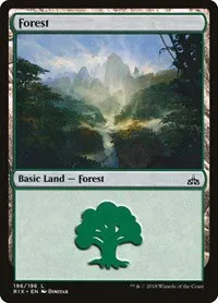 Forest - Foil