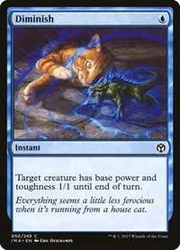 Diminish - Foil