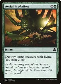 Aerial Predation - Foil