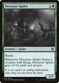 Netcaster Spider - Foil