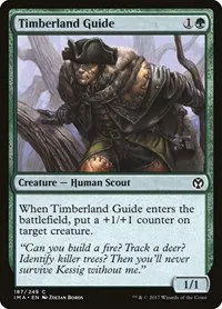 Timberland Guide - Foil
