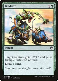 Wildsize - Foil