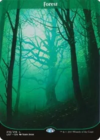 Forest - Foil