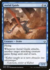Aerial Guide - Foil