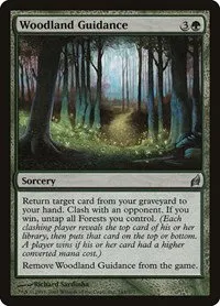 Woodland Guidance - Foil