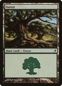 Forest - Foil