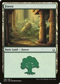 Forest - Foil