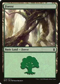 Forest - Normal Forest