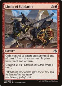 Limits of Solidarity - Foil