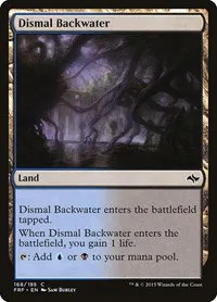 Dismal Backwater - Foil