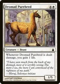 Dromad Purebred - Foil