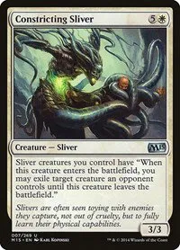 Constricting Sliver - Foil
