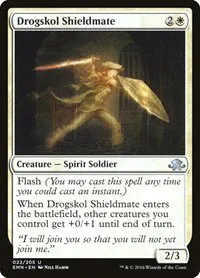 Drogskol Shieldmate - Foil