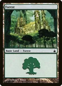 Forest - Foil