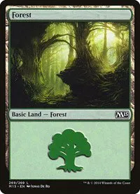 Forest - Foil