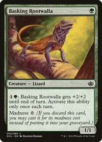 Basking Rootwalla - Normal Basking Rootwalla