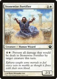 Stonewise Fortifier