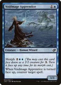 Voidmage Apprentice - Normal Voidmage Apprentice