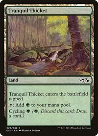 Tranquil Thicket - Normal Tranquil Thicket
