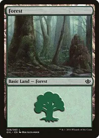 Forest - Gvl