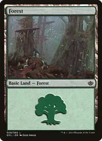 Forest - Gvl
