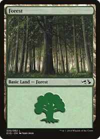 Forest - Evg