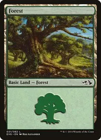 Forest - Evg