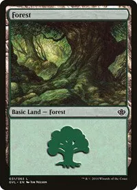 Forest - Gvl