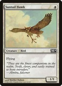 Suntail Hawk - Foil