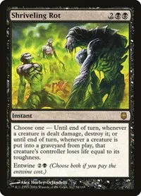 Shriveling Rot - Foil