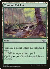 Tranquil Thicket