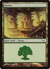 Forest