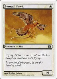 Suntail Hawk - Foil