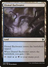 Dismal Backwater - Foil