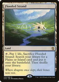 Flooded Strand - Foil
