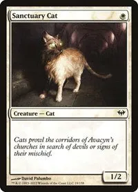 Sanctuary Cat - Foil
