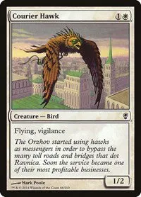 Courier Hawk - Foil