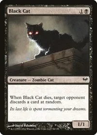Black Cat - Foil