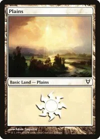 Plains - Foil