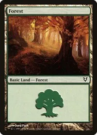 Forest - Foil