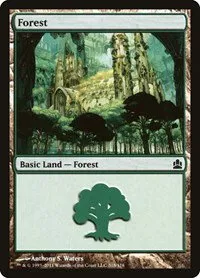 Forest