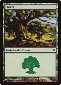 Forest
