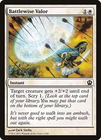 Battlewise Valor - Normal Battlewise Valor