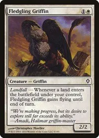 Fledgling Griffin - Normal Fledgling Griffin