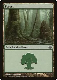 Forest