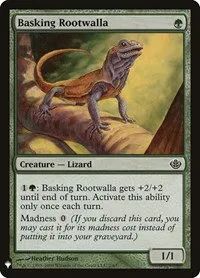Basking Rootwalla - Normal Basking Rootwalla