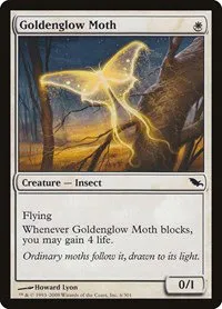 Goldenglow Moth - Foil