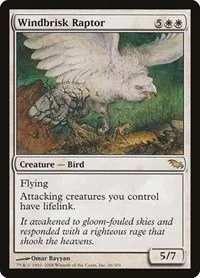 Windbrisk Raptor - Foil